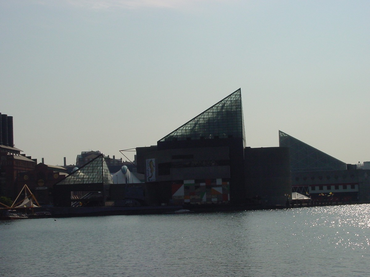 The Inner Harbor, Saturday morning