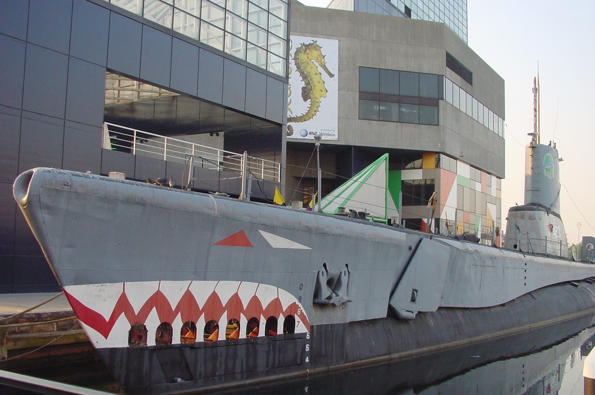 The bow, with the National Aquarium behind