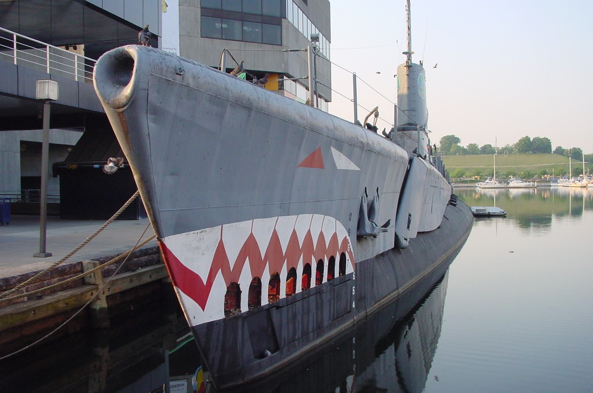 The bow at dawn